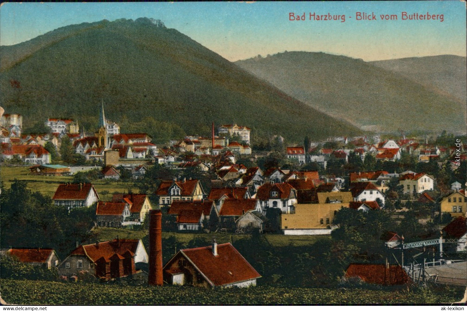 Ansichtskarte Bad Harzburg Stadt Vom Butterberg 1918  - Bad Harzburg