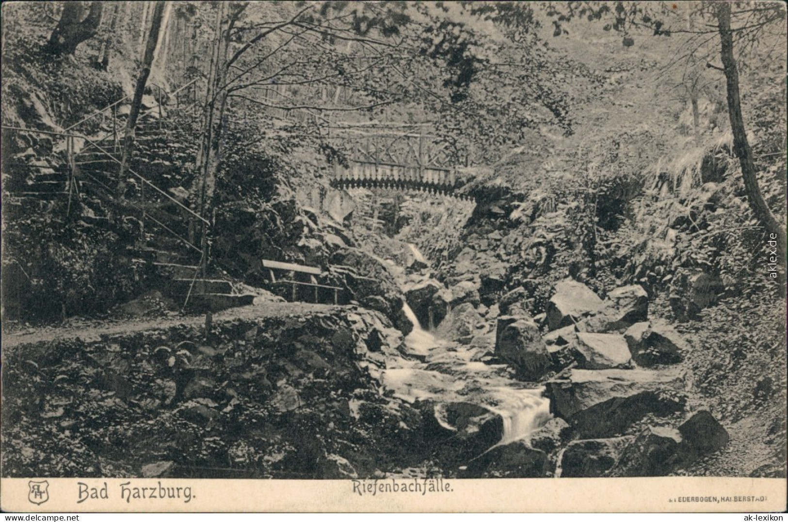 Ansichtskarte Bad Harzburg Brücke - Riefenbachfälle 1906  - Bad Harzburg