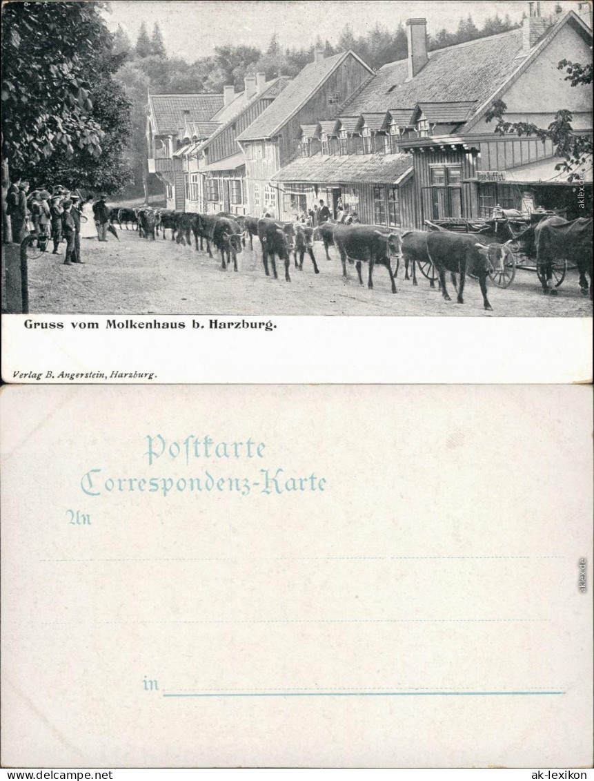 Ansichtskarte Bad Harzburg Vietrieb - Molkenhaus 1906  - Bad Harzburg