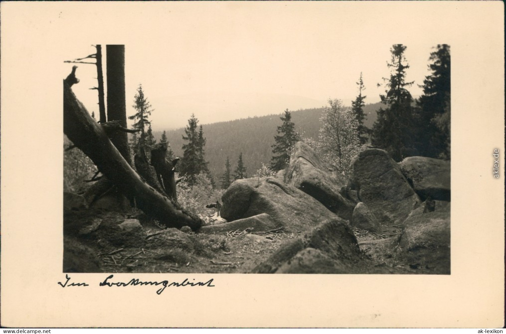Ansichtskarte  Mittelgebirge Felsen Und Bäume 1936 Privatfoto - A Identifier
