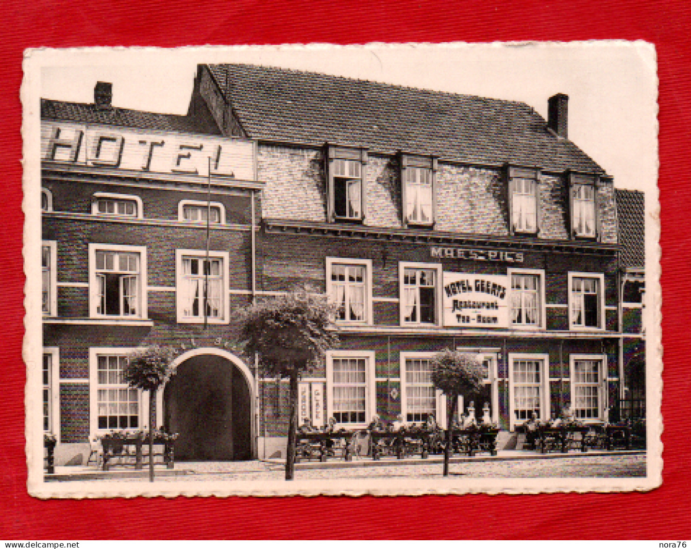 CPSM  "Westerloo" Belgique HOTEL GEERTS  Bon Plan, Personnages En   Terrasse Restaurant -crèmerie - Westerlo