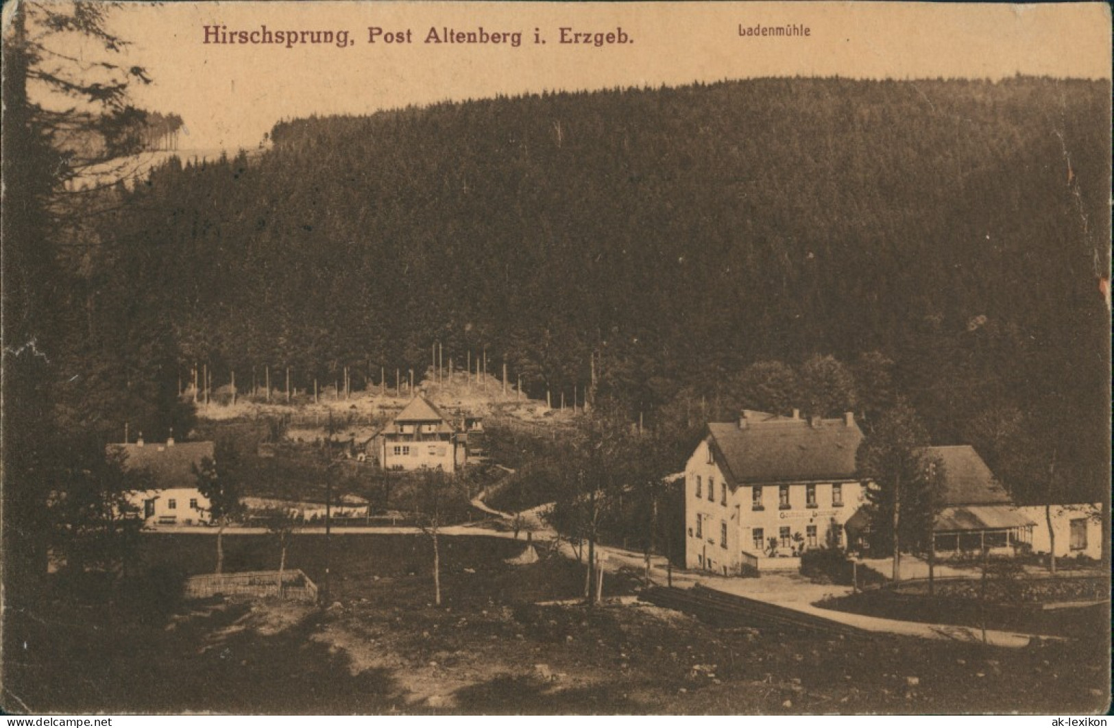 Hirschsprung-Altenberg (Erzgebirge) Parie An Der Ladenmühle 1923  - Altenberg