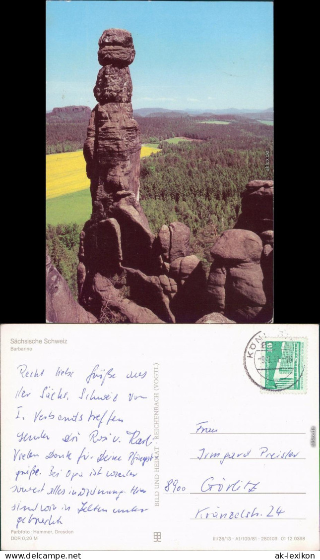 Pfaffendorf Königstein (Sächsische Schweiz)  Barbarine Mit Weitblick G1981 - Koenigstein (Saechs. Schw.)