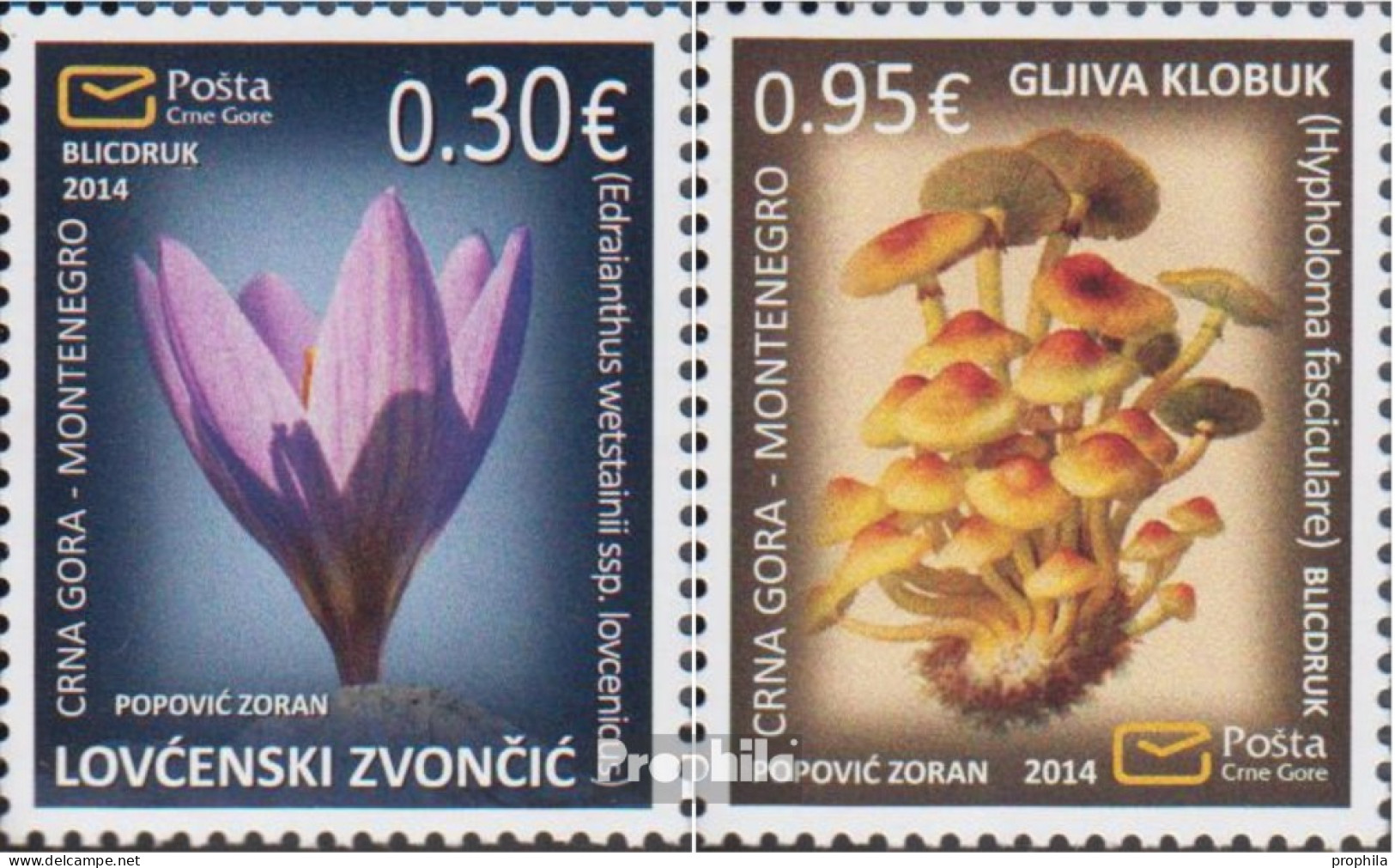 Montenegro 347-348 (kompl.Ausg.) Postfrisch 2014 Flora - Montenegro