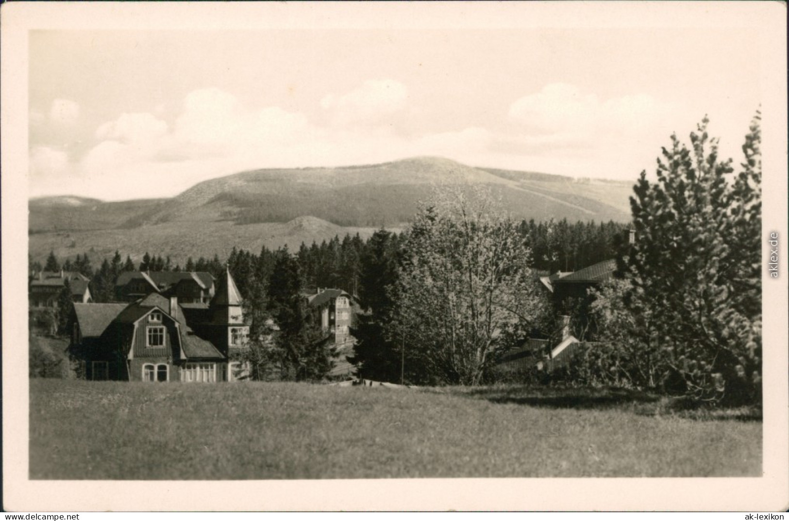 Ansichtskarte Oberhof (Thüringen) Blick Zum Schneekopf 1953 - Oberhof