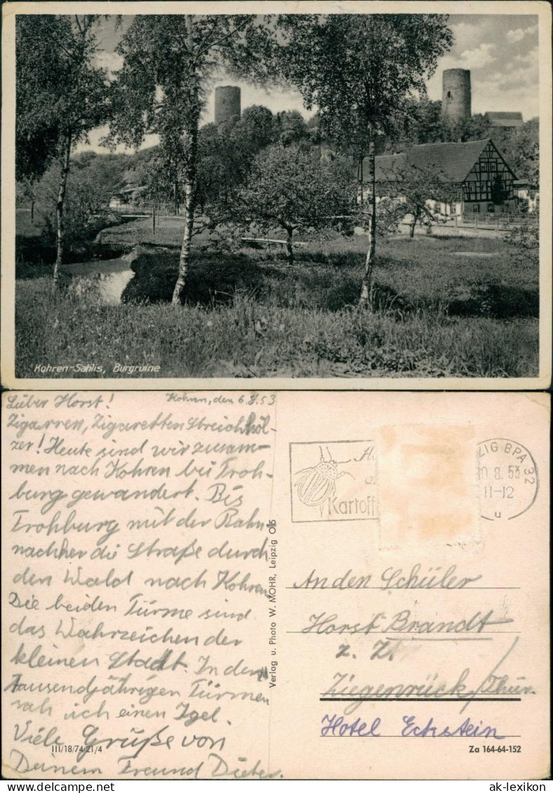 Ansichtskarte Kohren-Sahlis Burgruine 1953 - Kohren-Sahlis