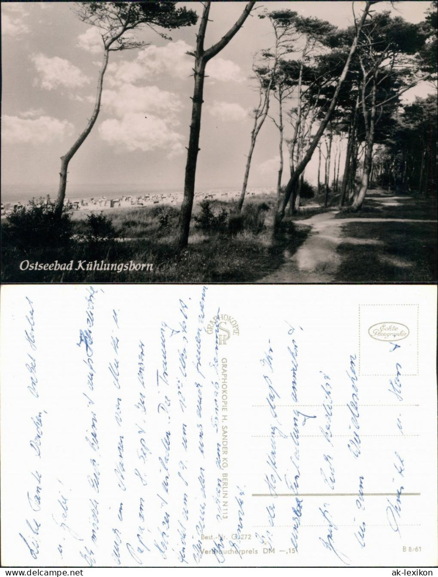 Ansichtskarte Kühlungsborn Waldweg Am Strand 1961 - Kühlungsborn