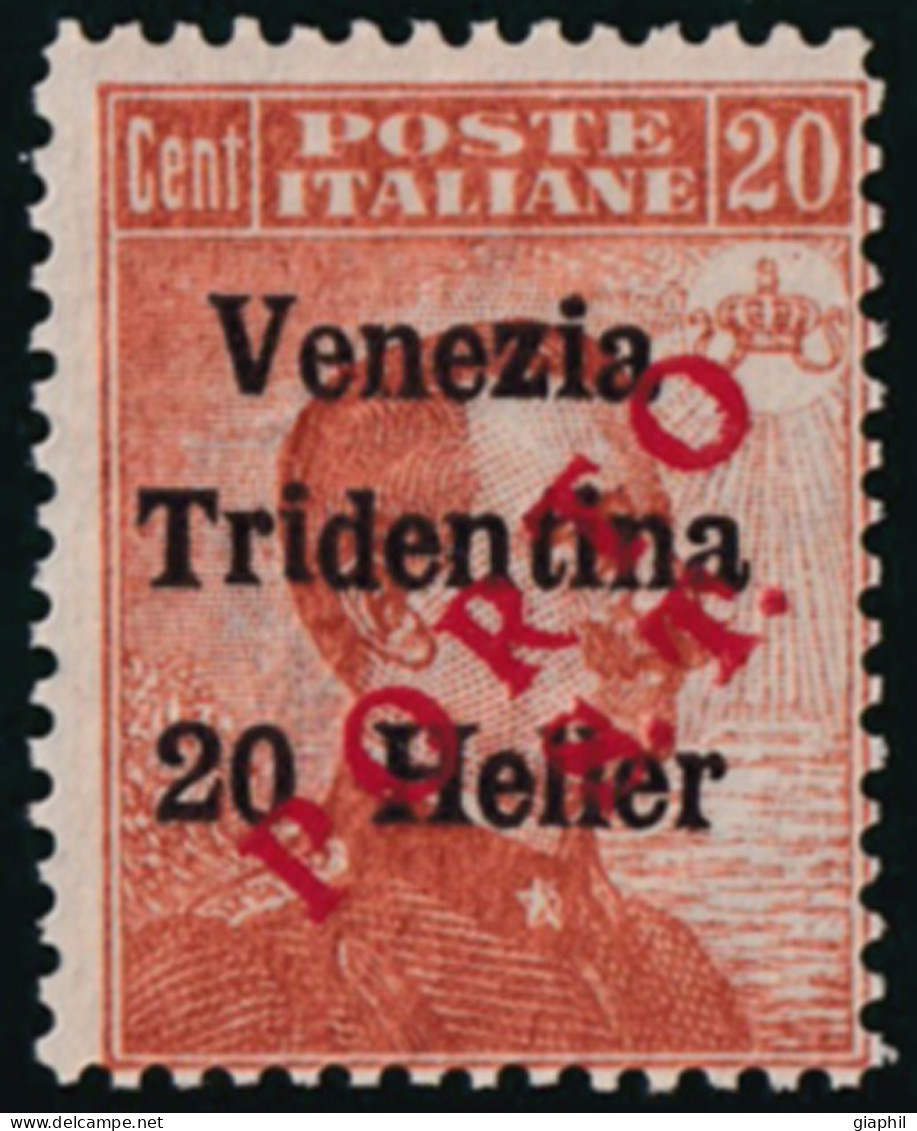 ITALIA TRENTINO-ALTO ADIGE 1919 SEGNATASSE PROVVISORI 20 H. (Sass. BZ3/132) NUOVO INTEGRO - Trento