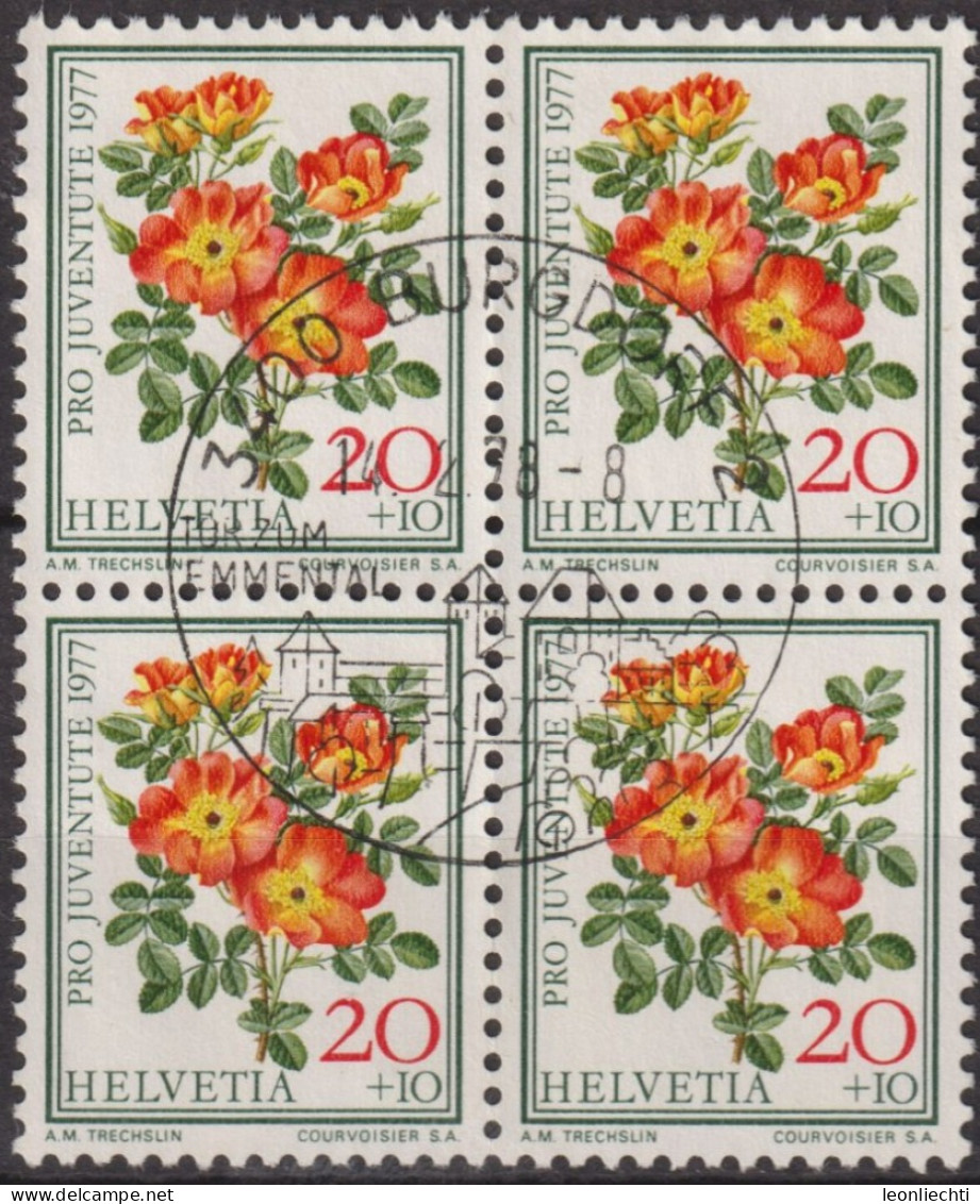 1977 Schweiz Pro Juventute ° Mi:CH 1112 Yt:CH 1042, Zum:CH J261,  Rose Foetida Bicolor - Used Stamps
