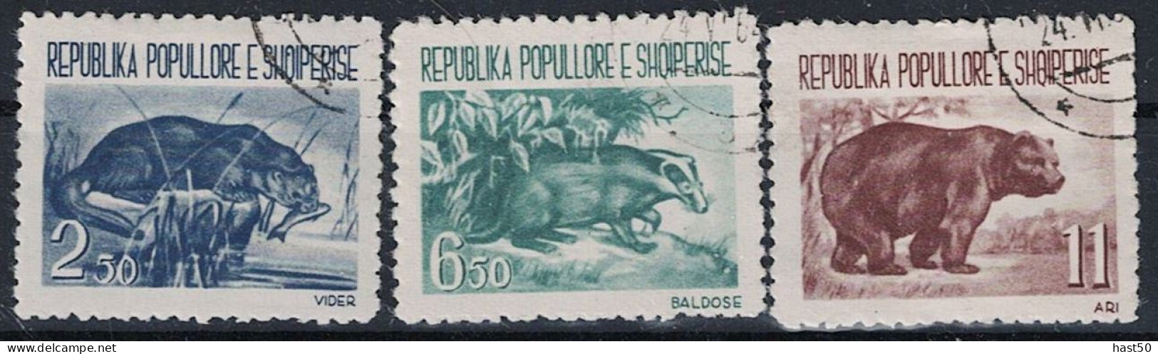 Albanien Albania Albanie - Einheimische Tiere (MiNr: 627/9) 1961 - Gest Used Obl - Albania