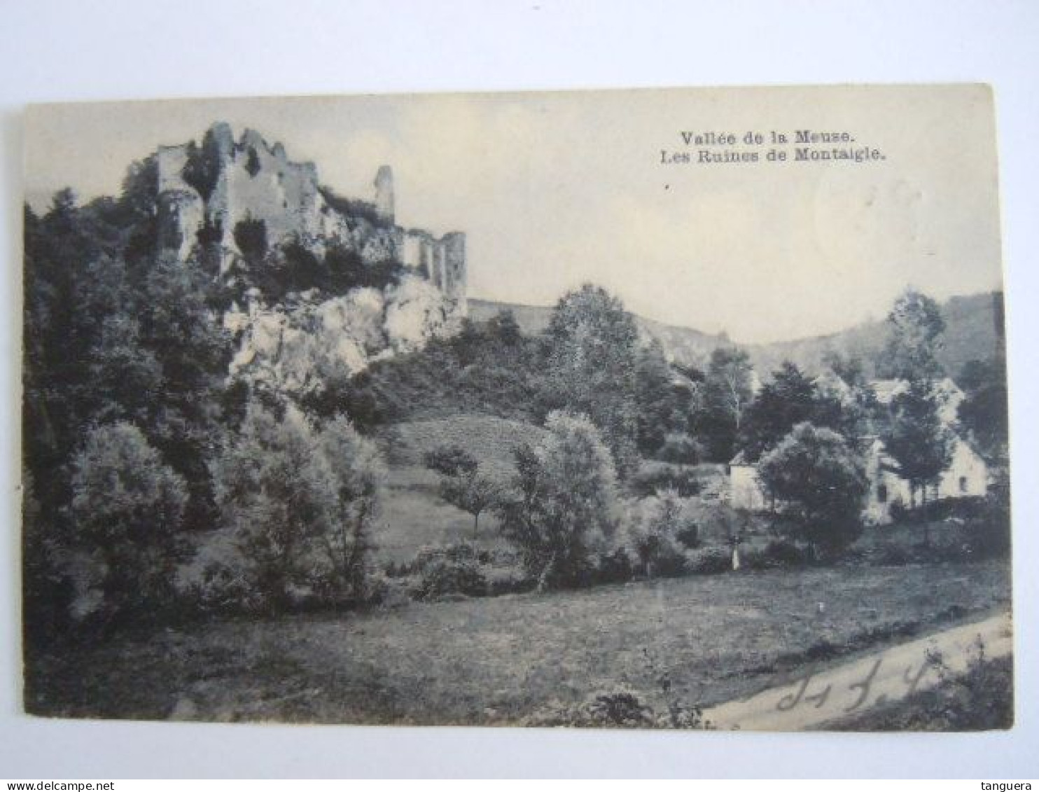 Vallée De La Meuse - Les Ruines De Montaigle Circulée  (701) - Onhaye