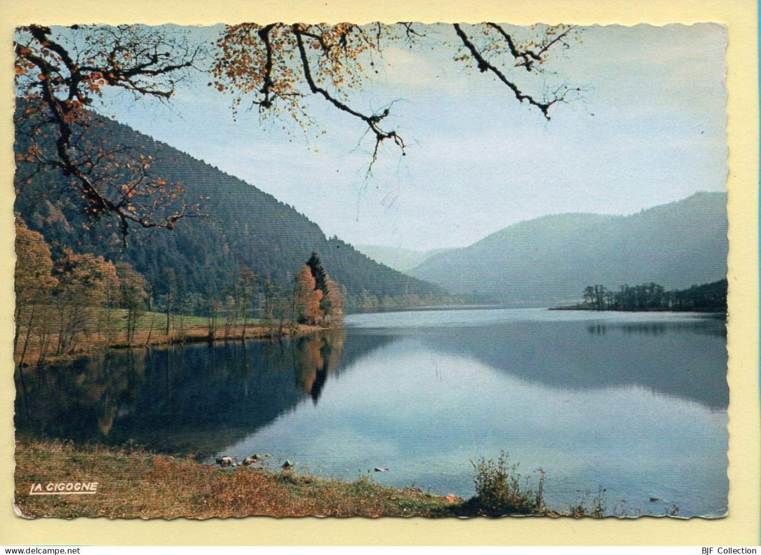 88. Le Lac De LONGEMER / CPSM (voir Scan Recto/verso) - Xonrupt Longemer