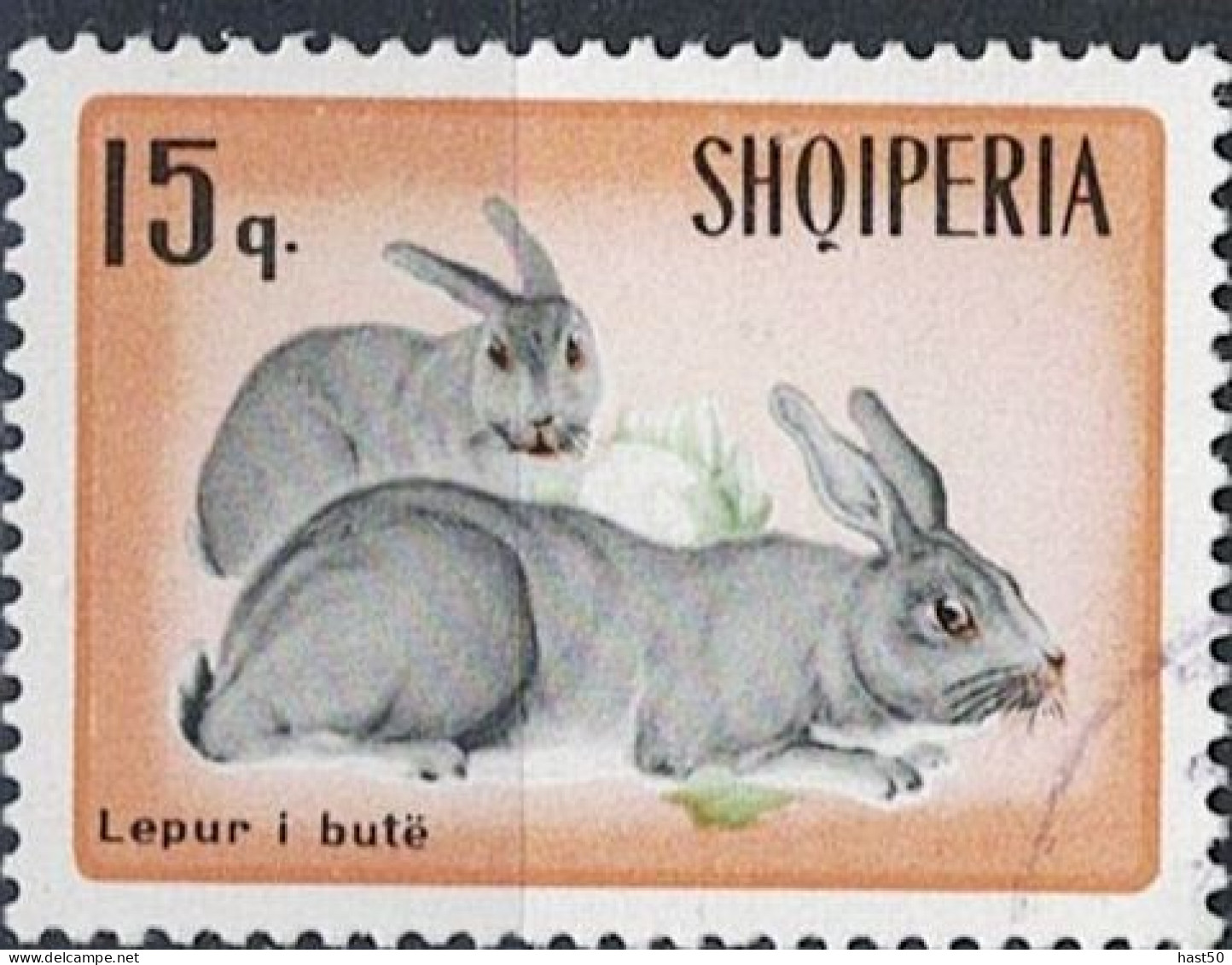 Albanien Albania Albanie - Hauskaninchen (Oryctolagus Cuniculus Domesticus) (MiNr: 1193) 1967 - Gest Used Obl - Albanie