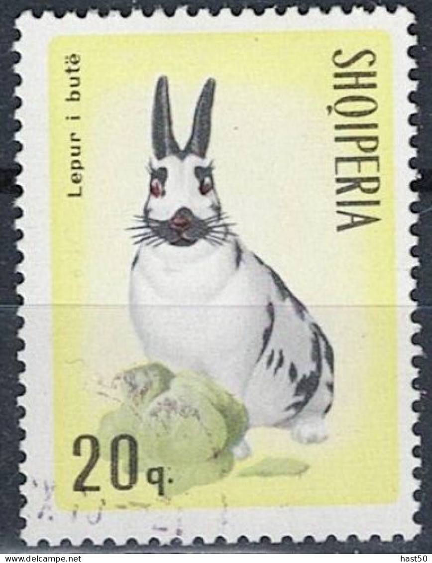 Albanien Albania Albanie - Hauskaninchen (Oryctolagus Cuniculus Domesticus) (MiNr: 1194) 1967 - Gest Used Obl - Albanie