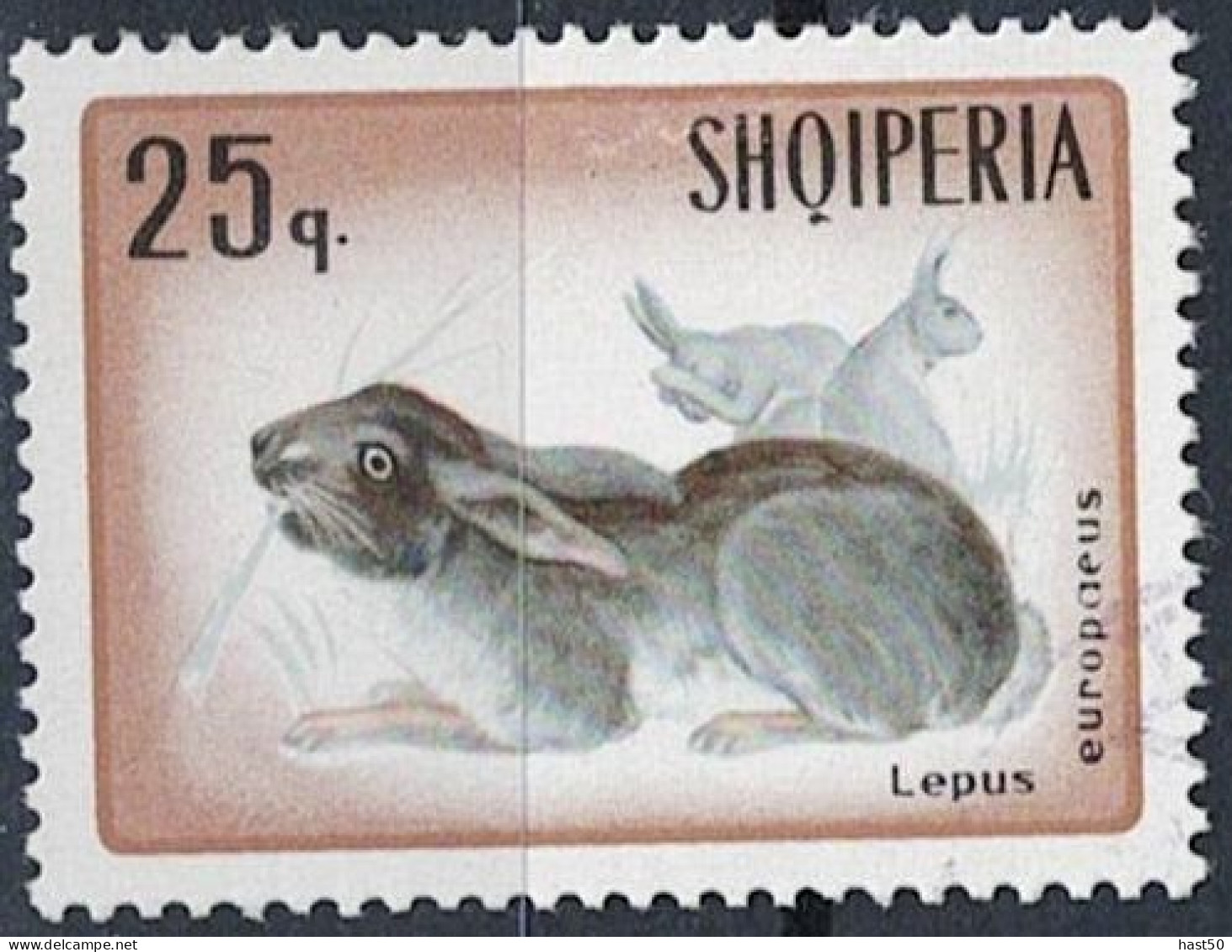 Albanien Albania Albanie - Feldhase (Lepus Europaeus) (MiNr: 1195) 1967 - Gest Used Obl - Albanie