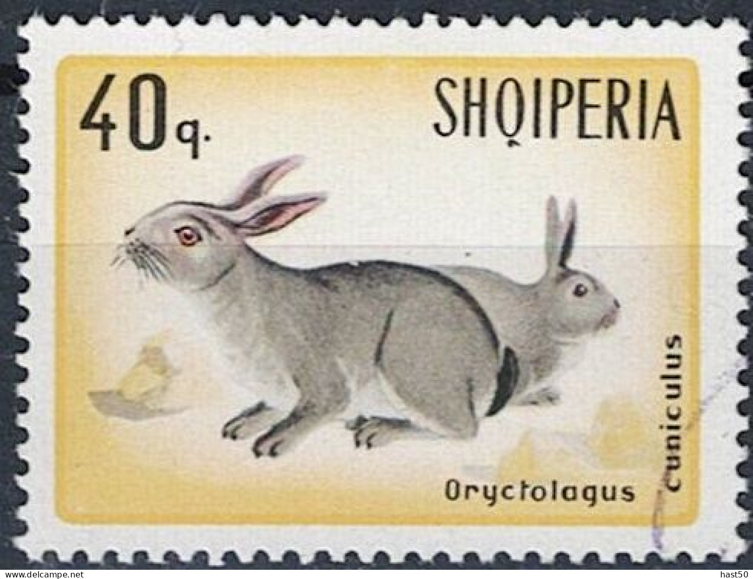 Albanien Albania Albanie - Wildkaninchen (Oryctolagus Cuniculus) (MiNr: 1197) 1967 - Gest Used Obl - Albanië