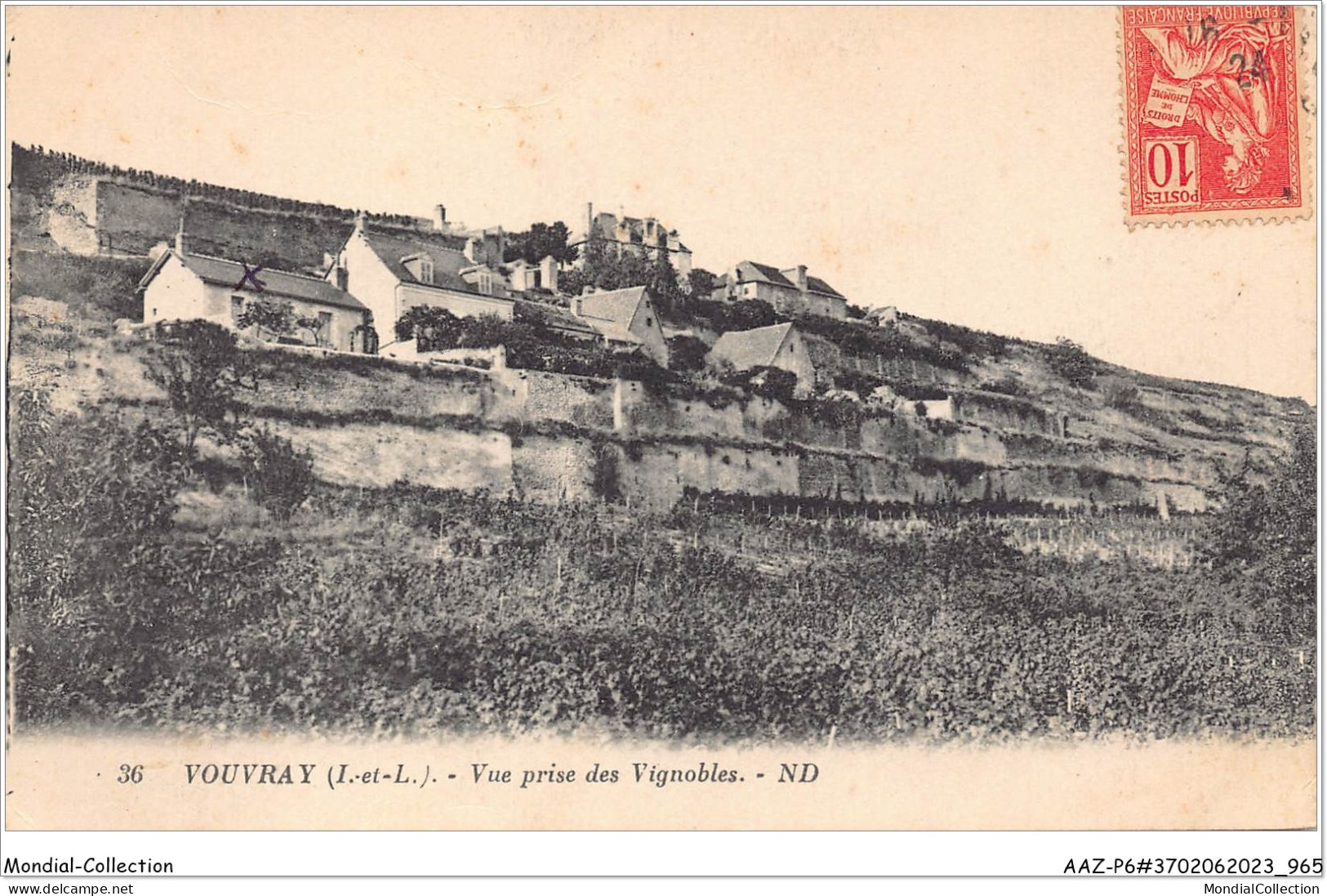 AAZP6-37-0483 - VOUVRAY - Vue Prise Des Vignobles  - Vouvray