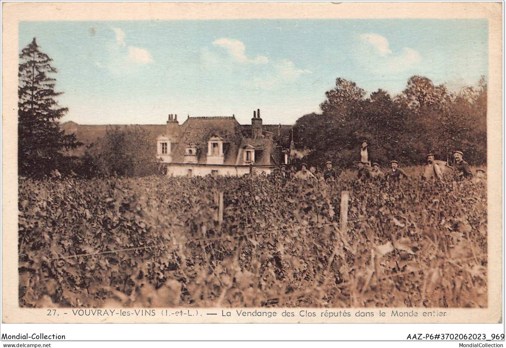 AAZP6-37-0485 - VOUVRAY - La Vendange Des Clos Reputes Dans Le Monde Entier  - Vouvray