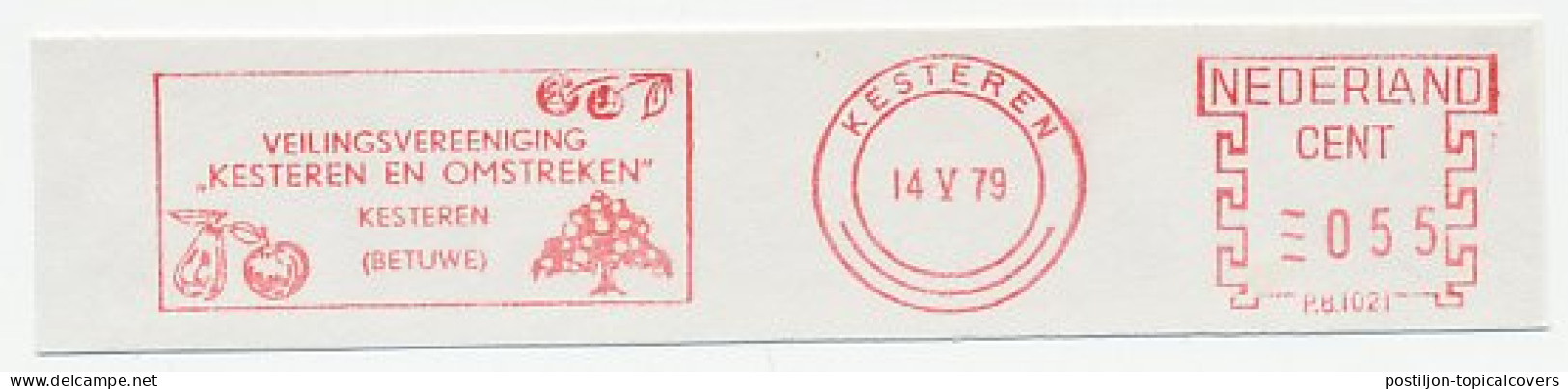 Meter Cut Netherlands 1979 Cherry - Apple - Pear - Fruits