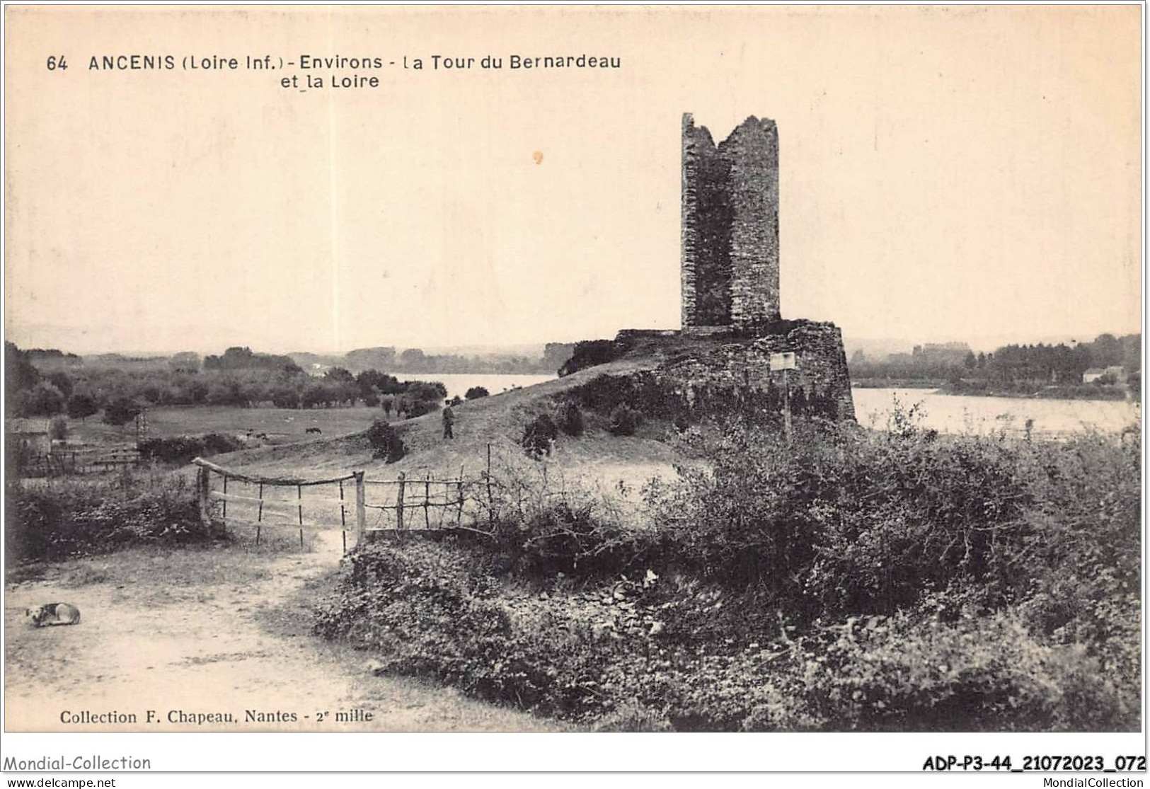 ADPP3-44-0225 - ANCENIS - La Tour Du Bernardeau Et La Loire - Ancenis