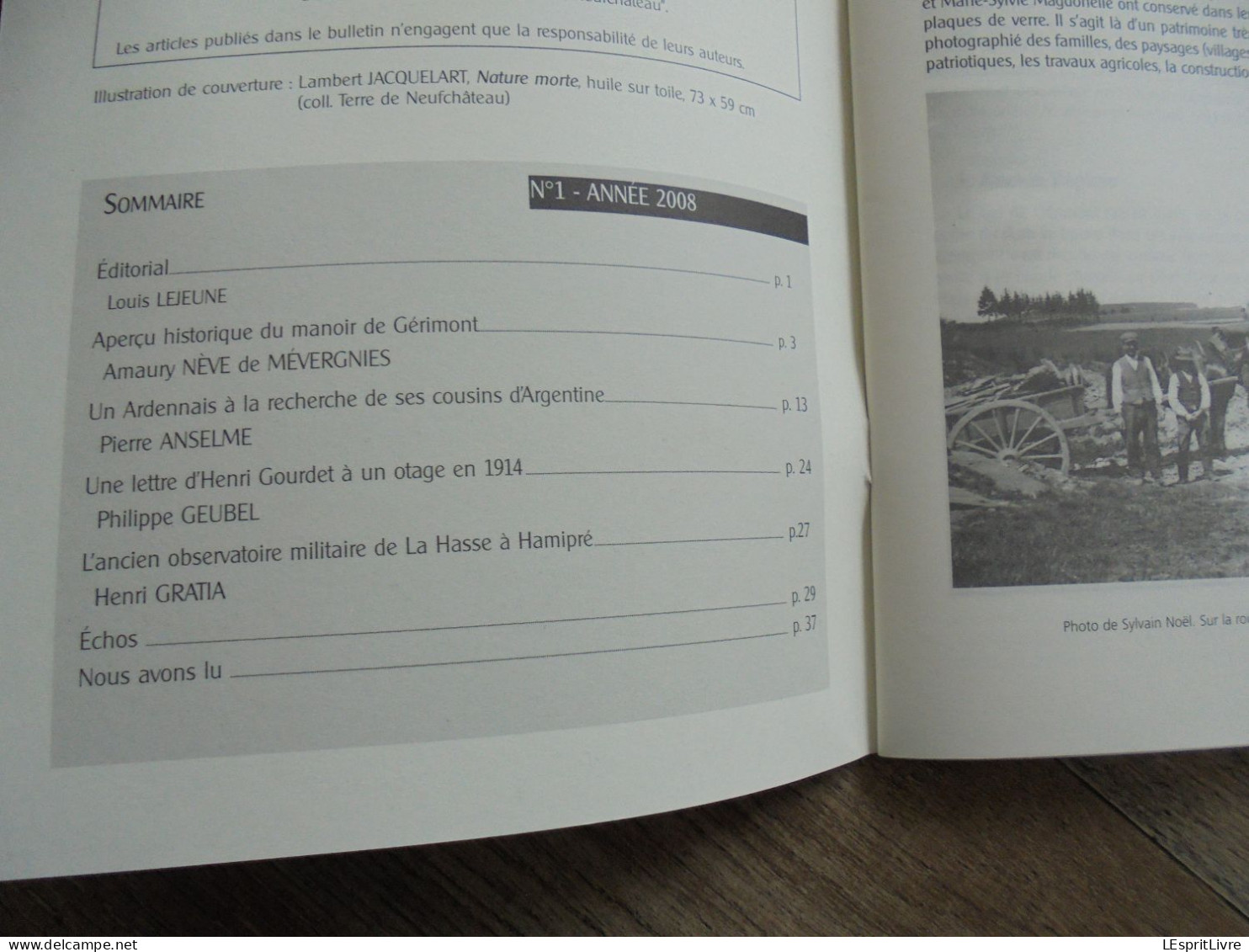 TERRE DE NEUFCHÂTEAU N° 1 Année 2008 Régionalisme Manoir Gérimont Emigration Argnetine Guerre 14 18 La Hasse Hamipré - Belgium