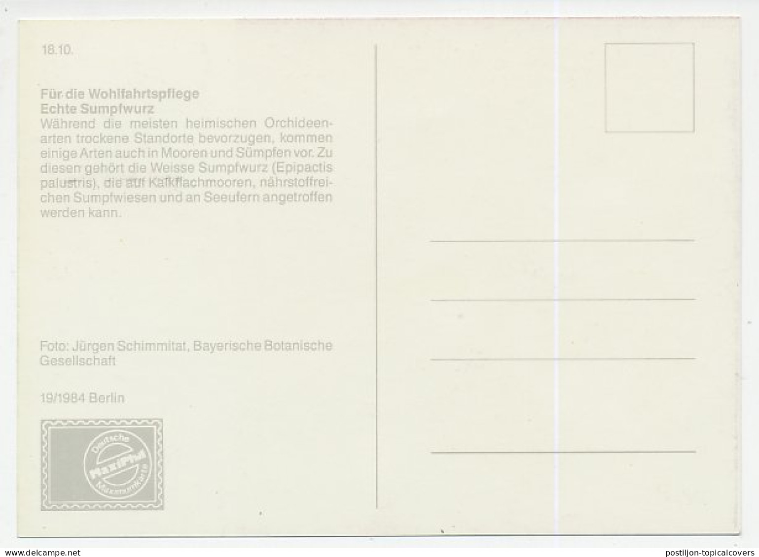 Maximum Card Germany / Berlin 1984 Orchid - Arbres