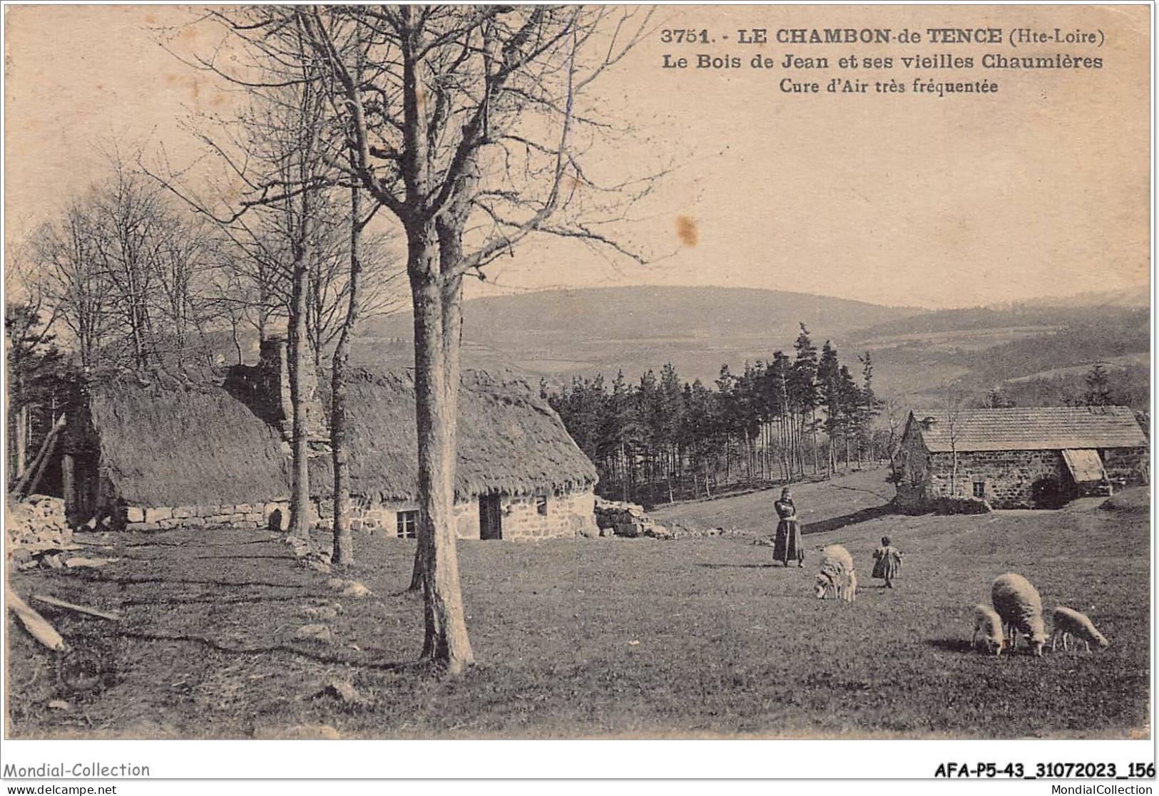 AFAP5-43-0515 - LE CHAMBON-de-TENCE - Le Bois De Jean Et Ses Vieilles Chaumières - Cure D'air Très Fréquentée - Le Chambon-sur-Lignon