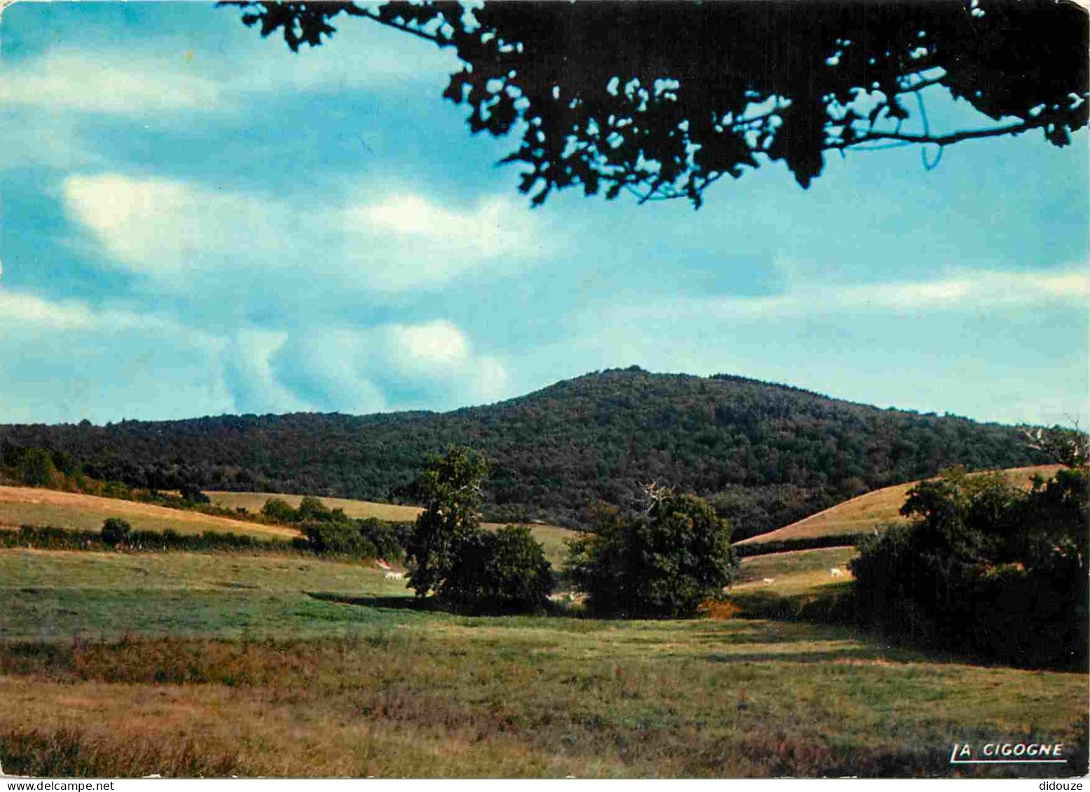 58 - Saint Honoré Les Bains - La Vieille Montagne Aux Environs De Saint Honoré Les Bains - CPM - Voir Scans Recto-Verso - Saint-Honoré-les-Bains