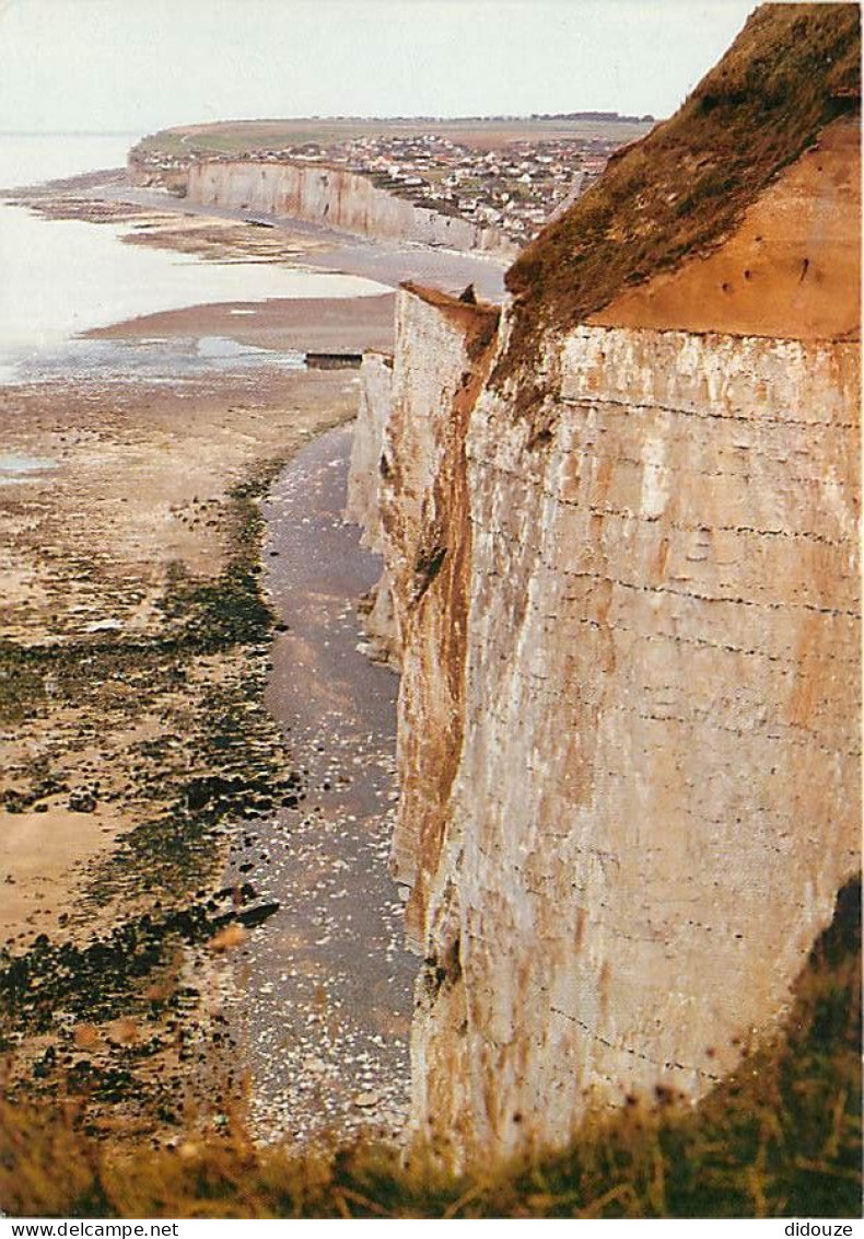 76 - Criel Sur Mer - Les Falaises - Carte Neuve - CPM - Voir Scans Recto-Verso - Criel Sur Mer