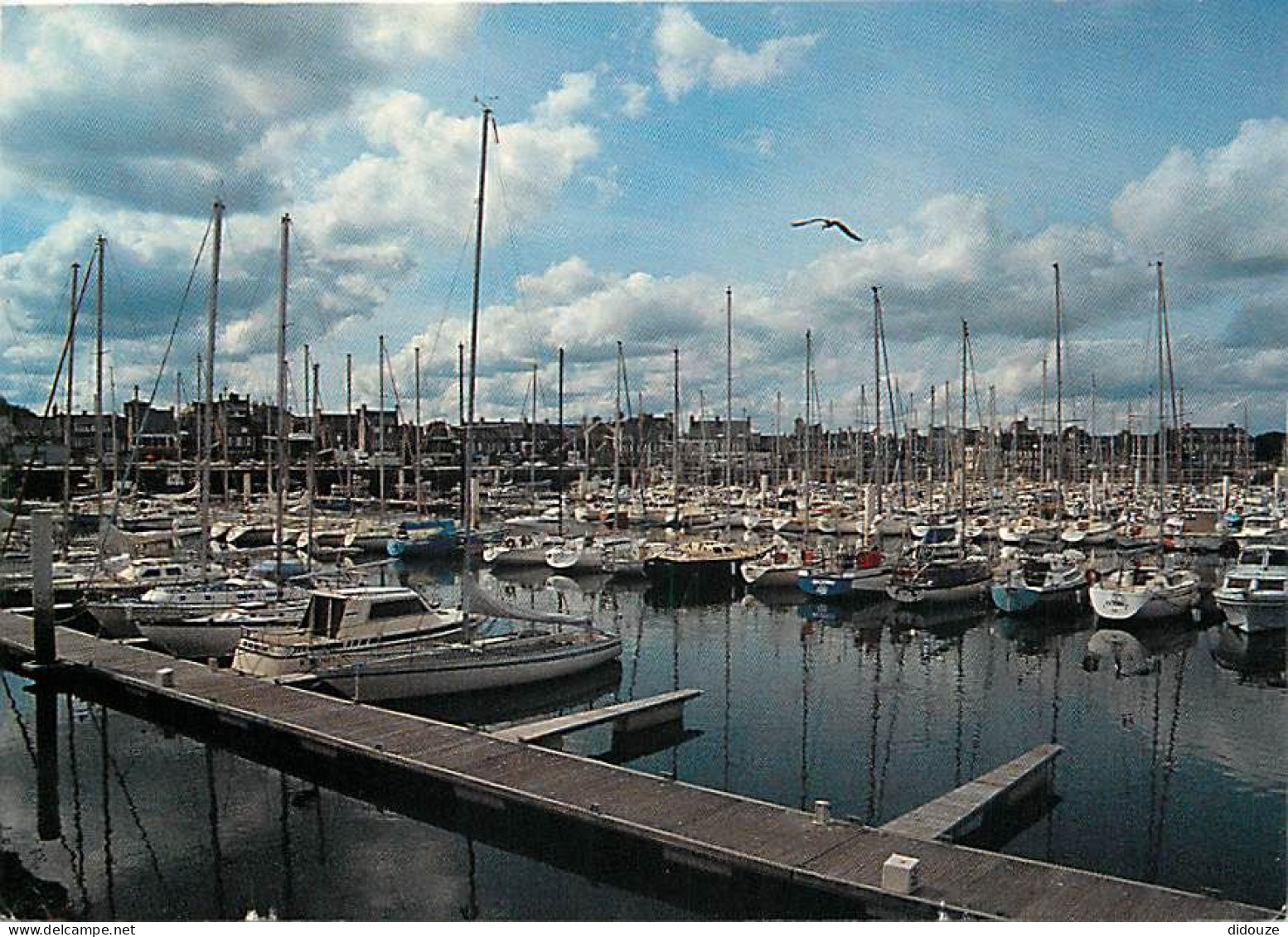 50 - Saint Vaast La Hougue - CPM - Voir Scans Recto-Verso - Saint Vaast La Hougue