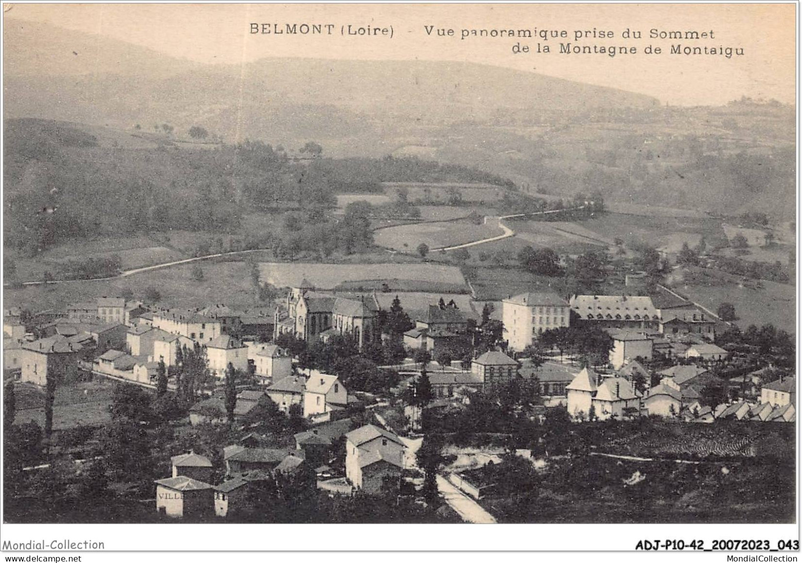 ADJP10-42-0829 - BELMONT - Vue Panoramique Prise Du Sommet De La Montagne De Montaigu - Belmont De La Loire