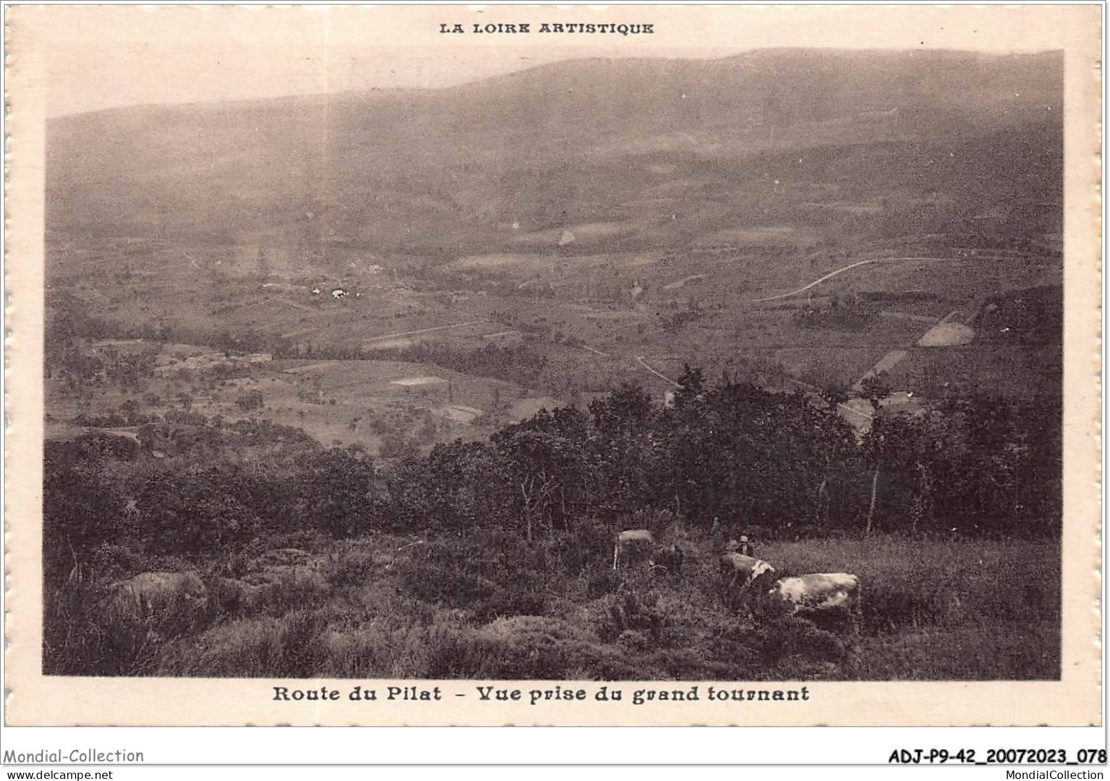 ADJP9-42-0760 - Route Du PILAT - Vue Prise Du Grand Tournant - Mont Pilat