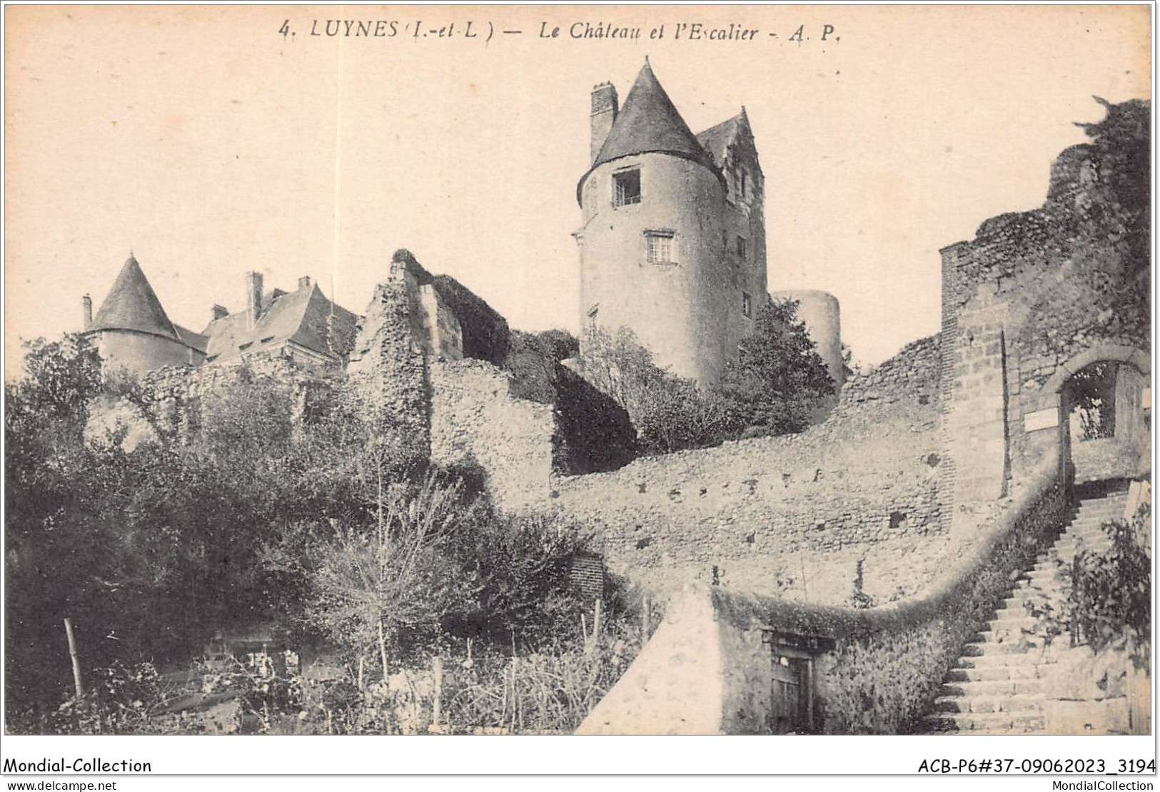 ACBP6-37-0556 - LUYNES - Le Château Et L'escalier - Luynes