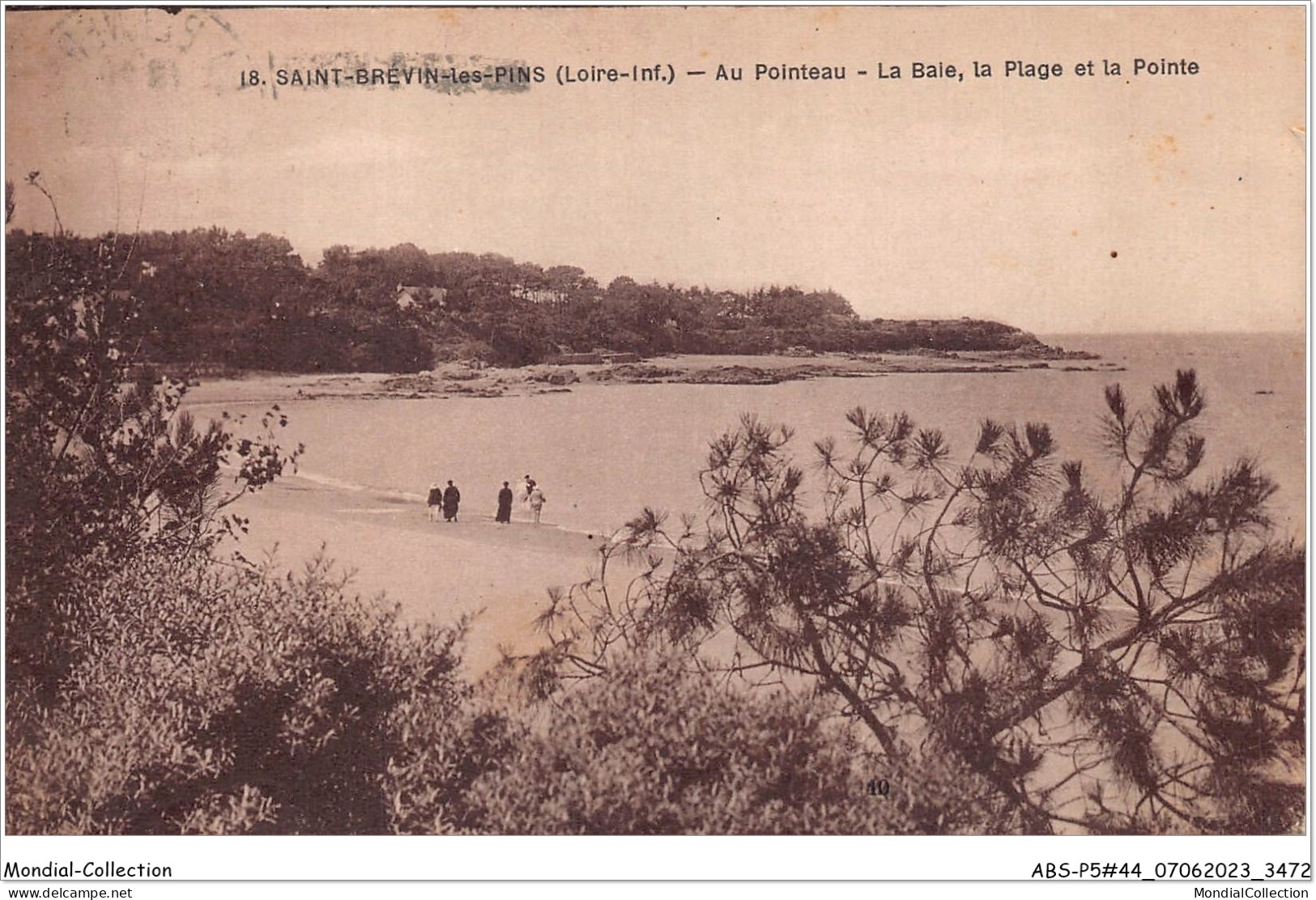 ABSP5-44-0473 - SAINT-BREVIN-LES-PINS - Au Pointeau - La Bale -La Plage Et La Pointe  - Saint-Brevin-les-Pins