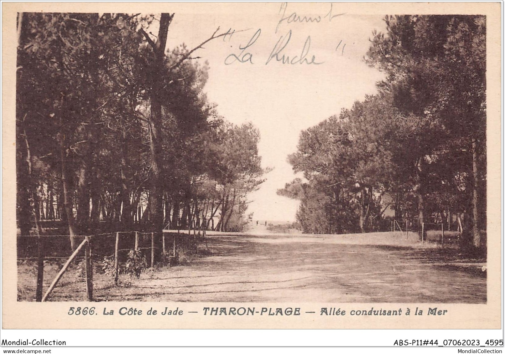 ABSP11-44-1036 - THARON - La Cote Jade-Allee Conduisant A La Mer  - Tharon-Plage