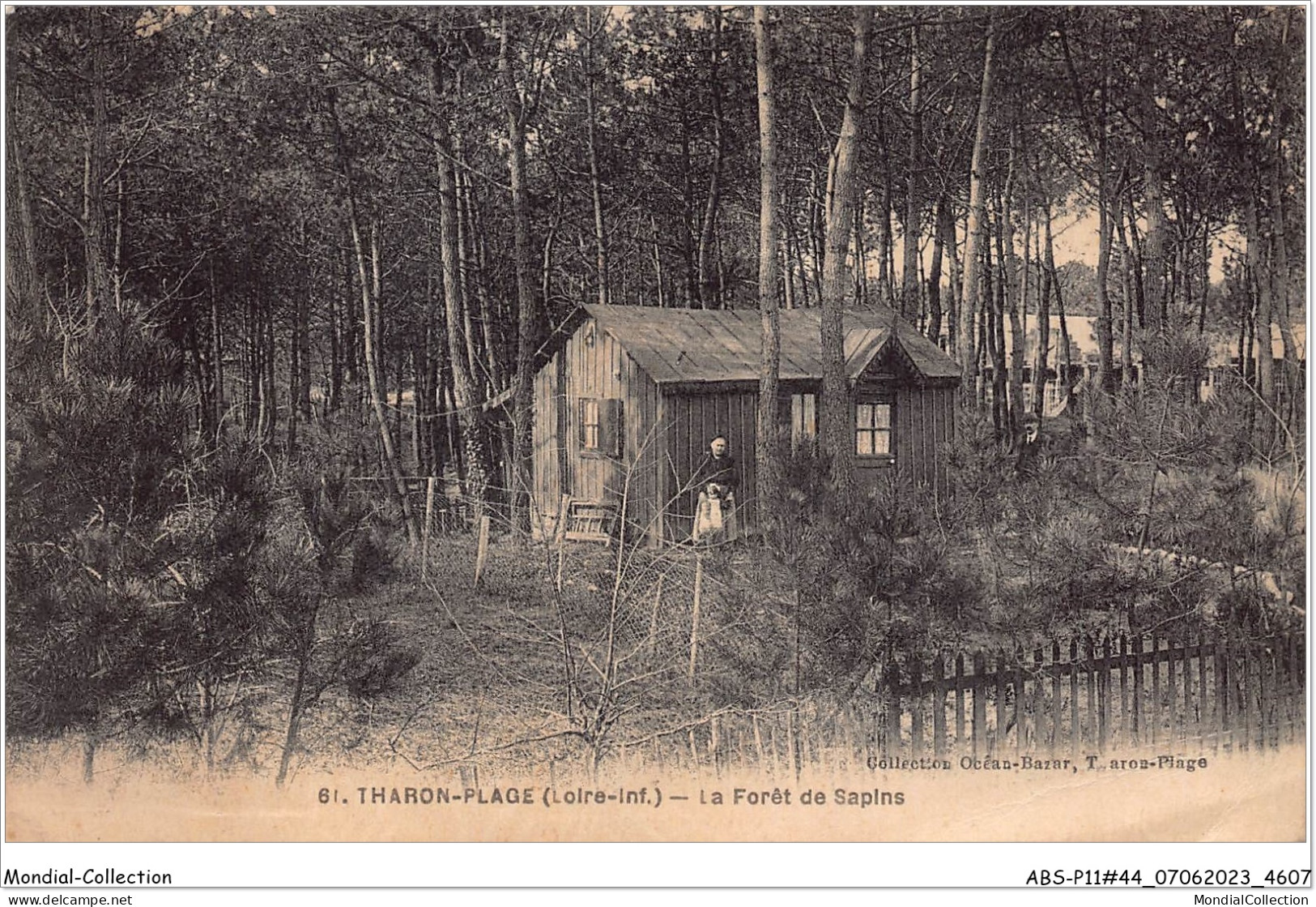 ABSP11-44-1042 - THARON - La Foret De Sapins  - Tharon-Plage