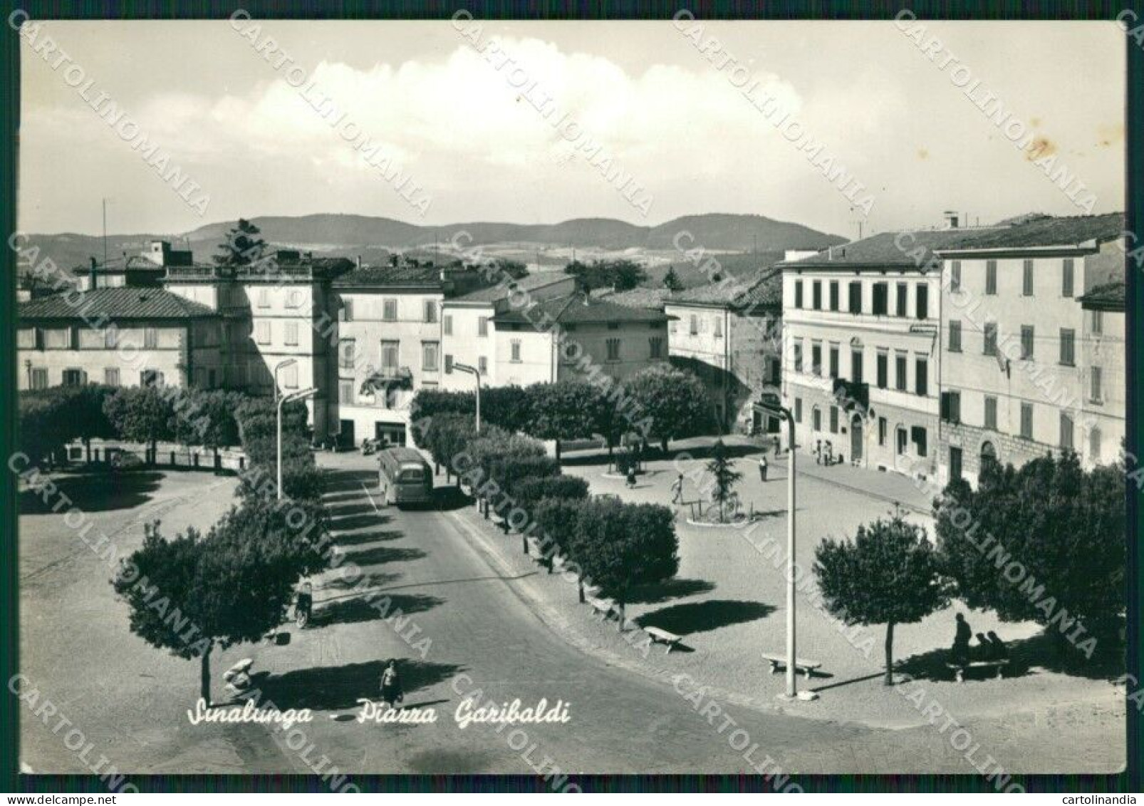 Siena Sinalunga Foto FG Cartolina ZK1571 - Siena