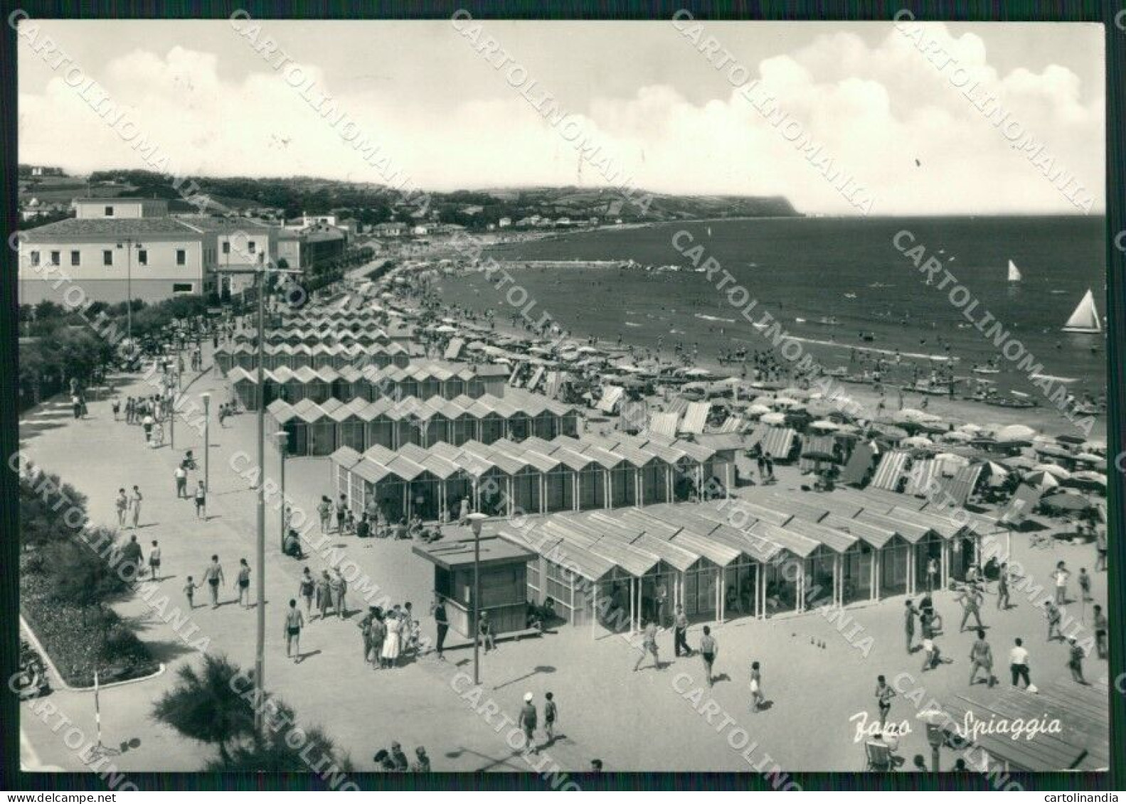 Pesaro Fano Foto FG Cartolina ZKM8246 - Pesaro