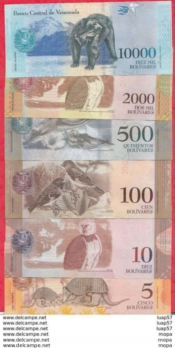 Venezuela 6 Billets En AU-UNC-SPL+ Lot N °8 (10000 Et2000 Bolivares 2016 FORTE COTE Numéros Des Billets Peuvent Changer - Venezuela