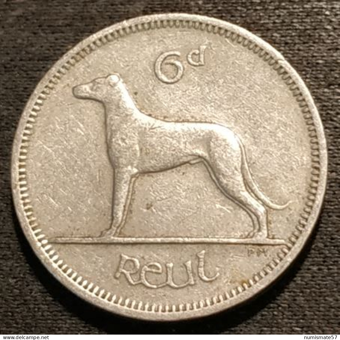 IRLANDE - EIRE - 6 Pingin / 1 Reul 1963 - KM 13a - Chien - Dog - IRELAND - Ierland