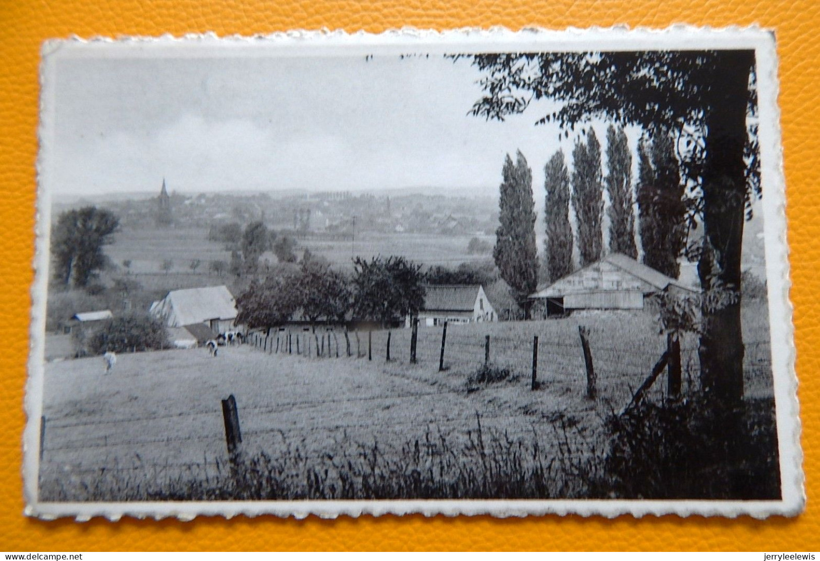 SAINT SAUVEUR  (Tournai)  -  Le Village Vu Des Hauts - - Tournai