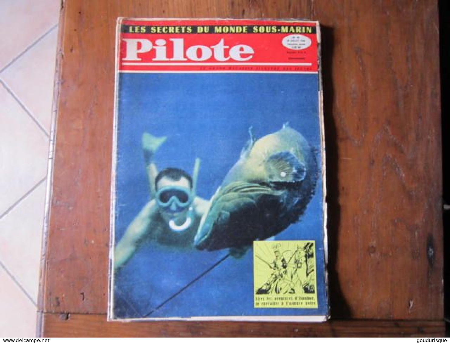 PILOTE N°40 - Pilote