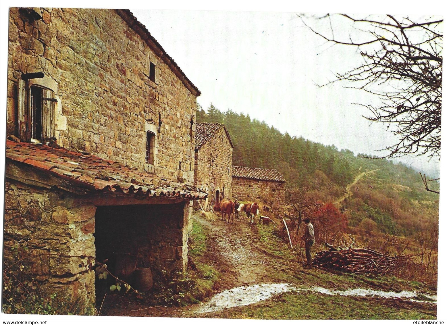 Ferme En Montagne, Paysan, Vaches - Photo Michel José - Edition Didier Richard - Grand Format - Granja