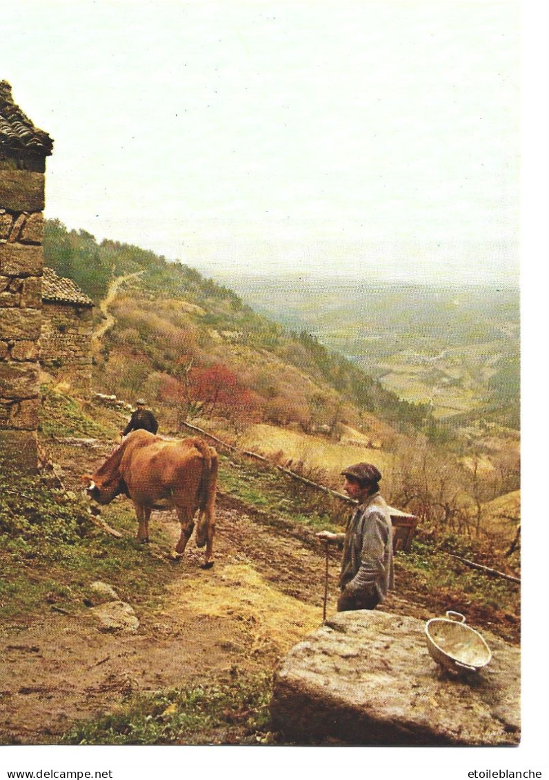 Ferme En Montagne, Paysans, Vache - Photo Michel José - Edition Didier Richard - Grand Format - (homme Béret Noir) - Fermes