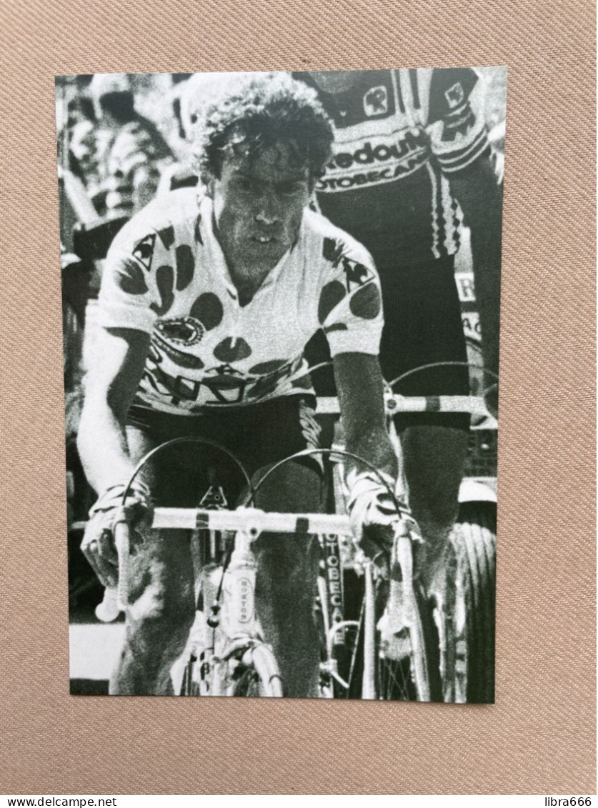 VAN IMPE Lucien / Wielrennen - Cyclisme / 15 X 10,5 Cm. - Sport
