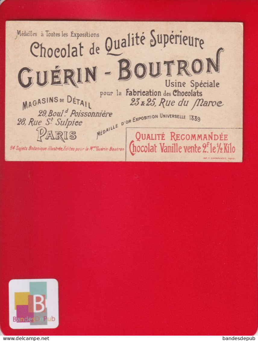 GUERIN BOUTRON  Chromo Or Champenois Canne à Sucre Pain Rhum JAMAIQUE Esclavage - Guerin Boutron