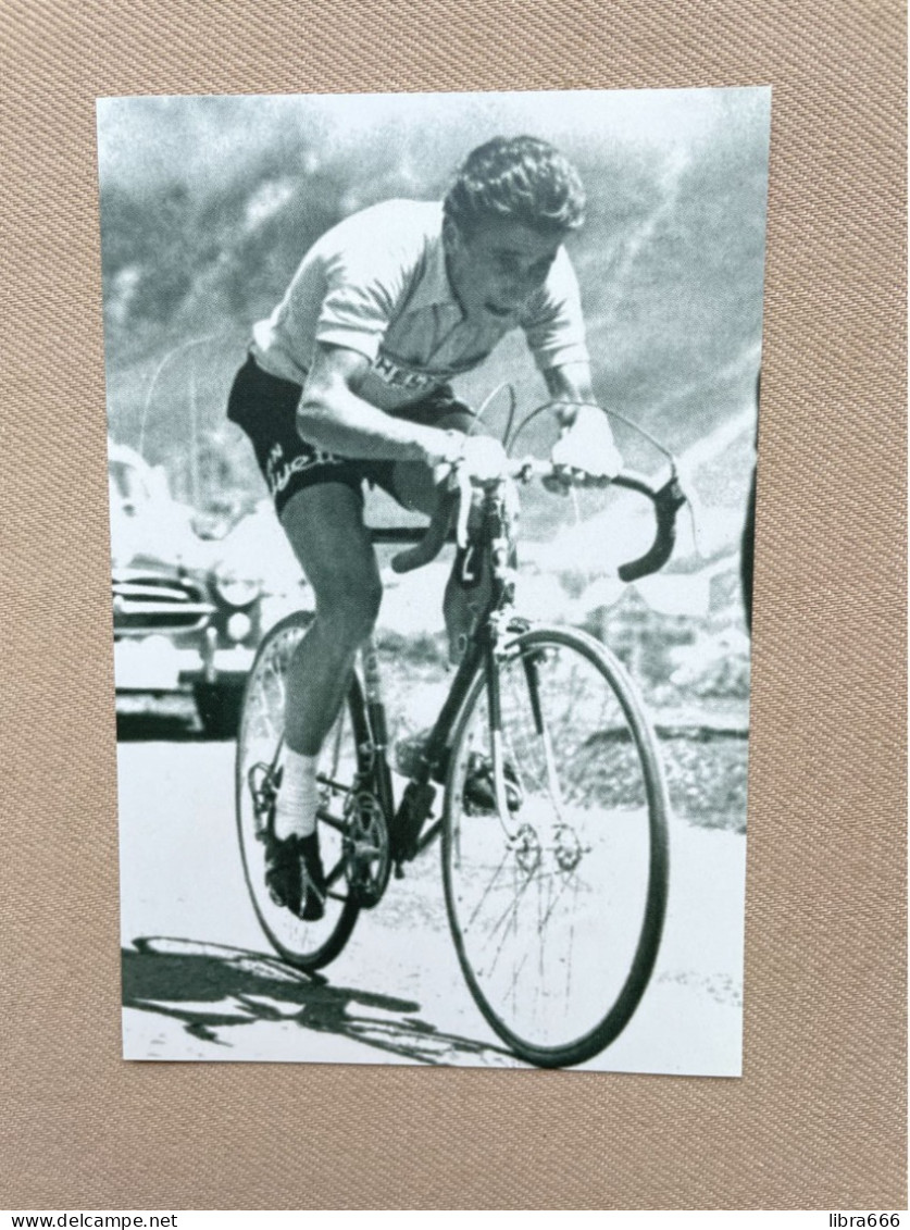 ANQUETIL Jacques / Wielrennen - Cyclisme / 15 X 10 Cm. - Deportes