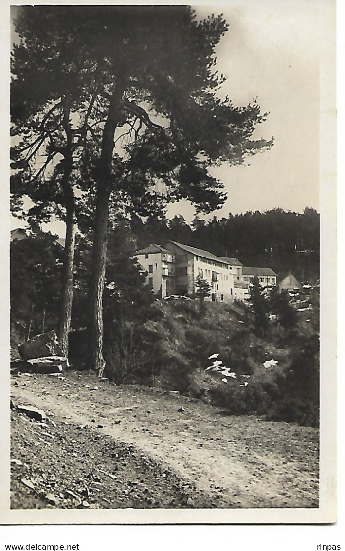 (06) PEIRA CAVA Les Hôtels Et La Forets  (Alpes Maritimes) - Lucéram