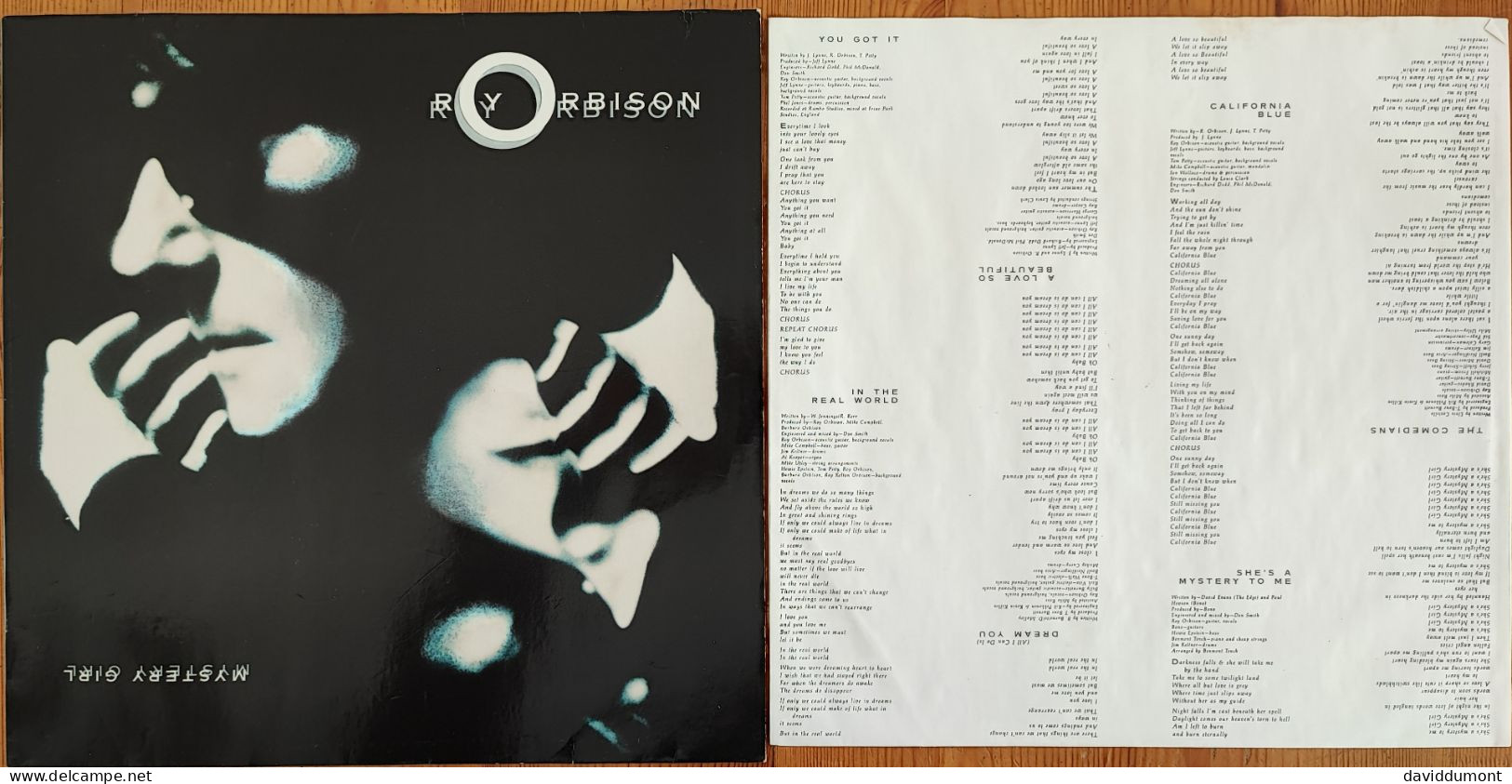 ROY ORBISON - Album LP 33 Tours - Rock