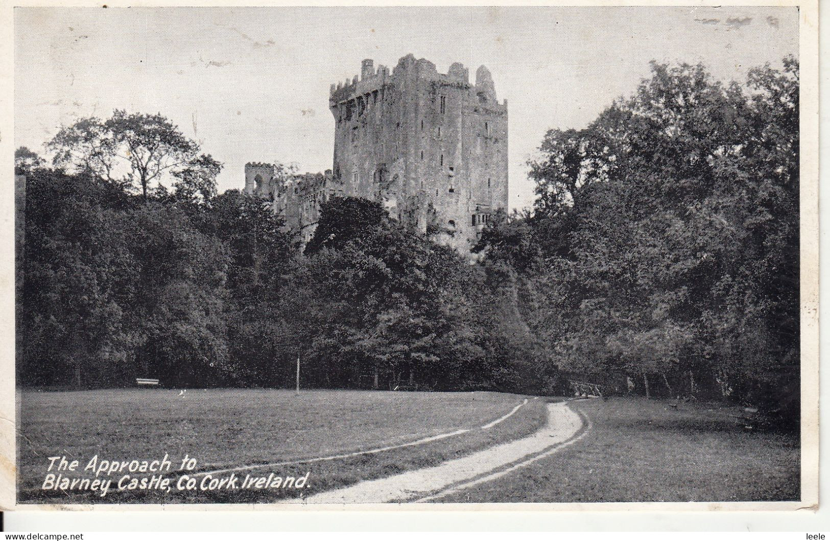 B24. Vintage Postcard. The Approach To Blarney Castle. Co. Cork Ireland - Cork